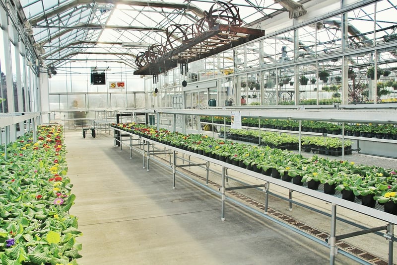 Botanical Conservatory